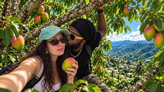 Hunting for wild mangos + bathing in the river in Jamaica's hidden mountain villages! 🇯🇲