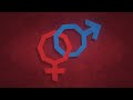 Top 10 Facts Sex