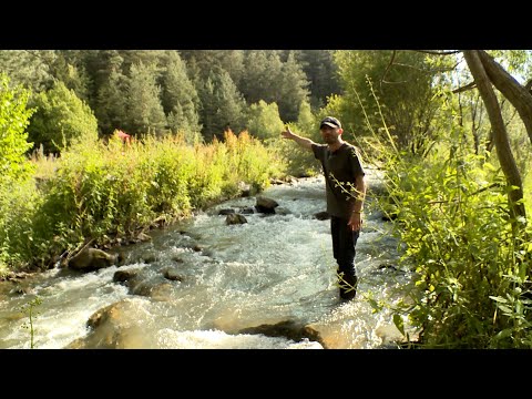 Post Factum | ბექა ყორშია გავლით “ქართული ოცნების” წარმოუდგენლად აბსურდულ პროექტებთან