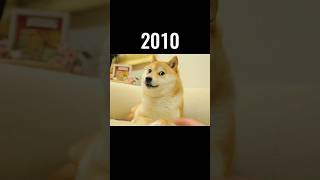The Most Legendary Dog Memes (Then Vs Now) 💔😥