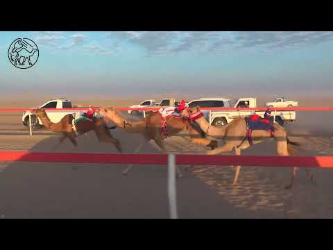 الشاهينية علي بن ناصر بن طناف الدرعي ميدان سيح العراد الشاهينية علي بن ناصر بن طناف الدرعي ميدان سيح العراد