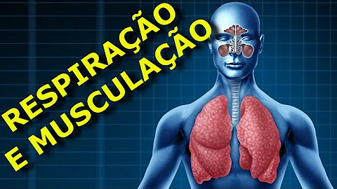 Quais a principais alterações fisiológicas que ocorrem no treinamento de hipertrofia?