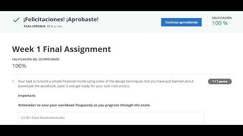 Excel Skills for Business: Advanced ll Week 1 Final Assignment 100% ll Coursera