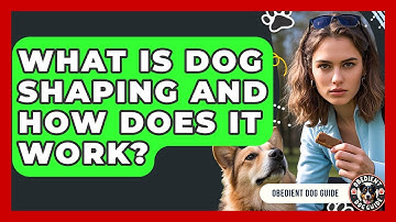 What Is Dog Shaping And How Does It Work? - Obedient Dog Guide