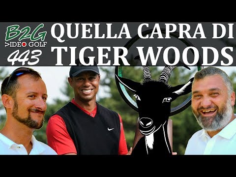 Video: Tiger Ha Danneggiato La Serie Di Golf Di EA?