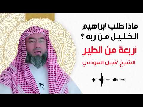 نبيل العوضي أربعة من الطير ماذا طلب إبراهيم الخليل من ربه نبيل العوضي أربعة من الطير ماذا طلب إبراهيم الخليل من ربه