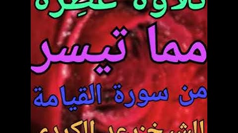 تلاوة عطِرة وخاشعة جداً من سورة القيامة للشيخ القارئ:رعد محمد الكردي