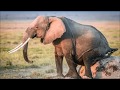 #9.3: The Primordial Termite Mound - Eternal Symbols - Anthills, snakes and umbrellas