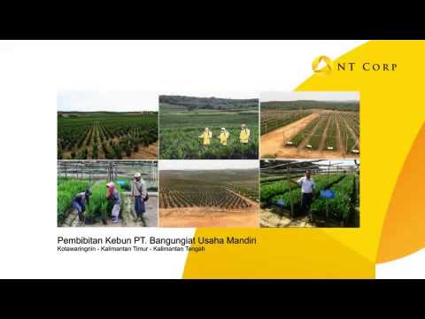 Animation For NT Corp