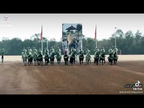 الخيل و الليل و البيداء تعرفني و السيف و الرمح و القرطاس و القلم