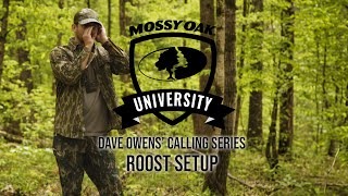 Dave Owens’ Turkey Calling Tips: ROOST SETUP by Mossy Oak 3,914 views 1 month ago 2 minutes, 19 seconds