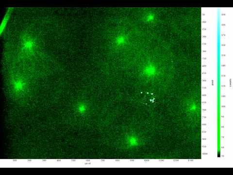 Interference PTV Measurement of Electrothermal Vortex