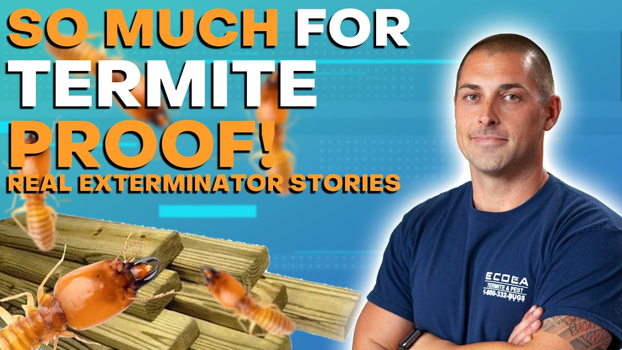 So Much For Termite Proof | Real Exterminator Stories - YouTube