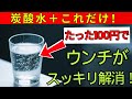 60歳以上必見!100円で作れる腸活ドリンクで便秘が即解消| 老後健康