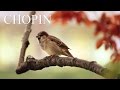 CHOPIN - Variations on a Theme of Rossini for Flute and Piano in E major, B.9