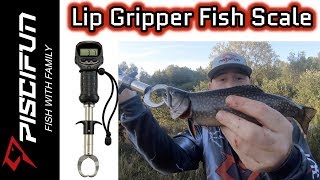 Piscifun Lip Gripper Fish Scale- Brook Trout 