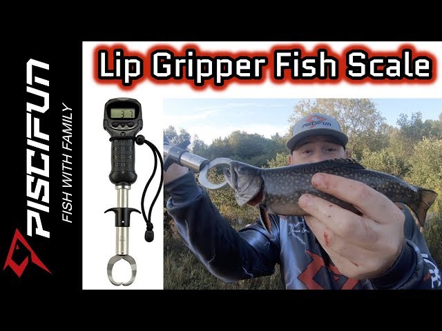 Piscifun Lip Gripper Fish Scale- Brook Trout 