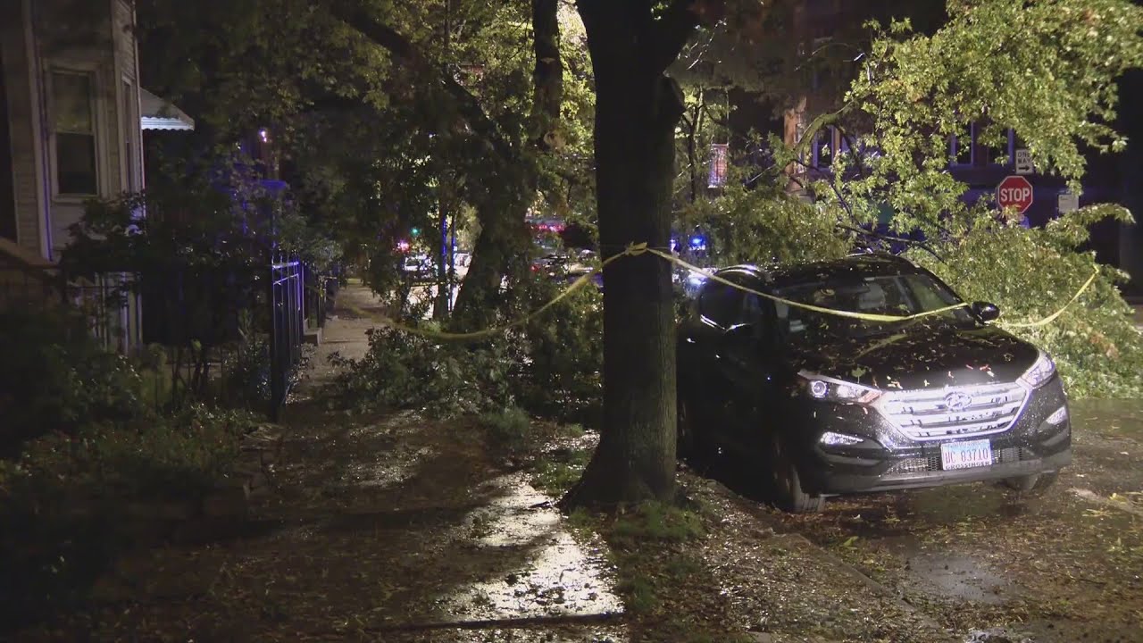 High waves, heavy rain and winds cause power outages, damage across ...