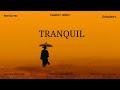 Tranquil Piano Journey 🎶 Beethoven Mozart Chopin Schubert – Classical Harmony for Rest & Focus
