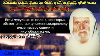 Беда исламского мира,которая опаснее оккупации Палестины иудеями!Шейх аль-Альбани