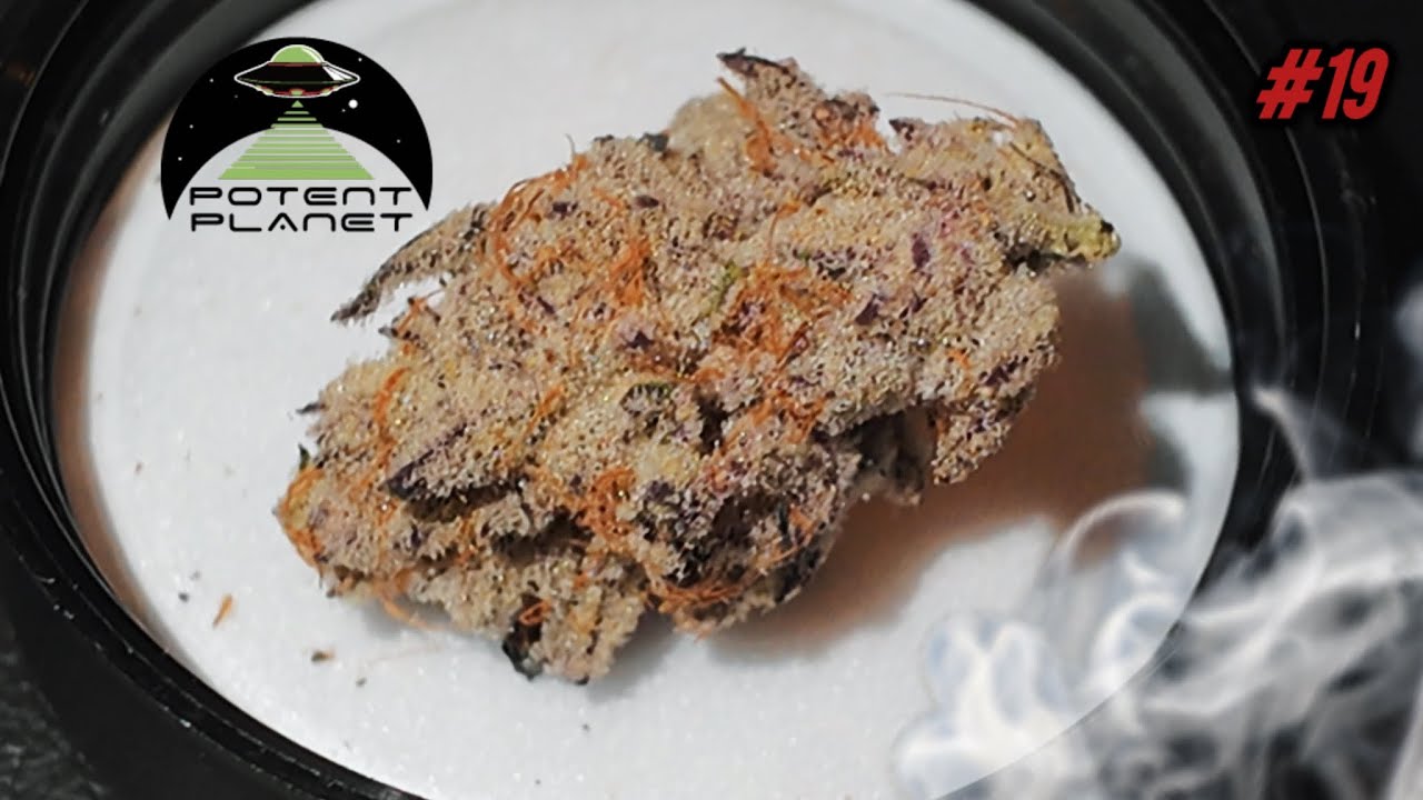 GOING TO POTENT PLANET!!