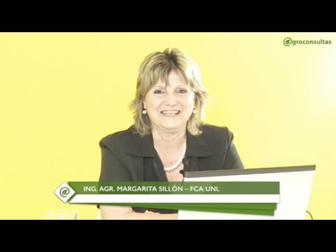 Vídeo: Mal altia de fusari basal de l'iris: informació sobre la putrefacció de les flors de l'iris