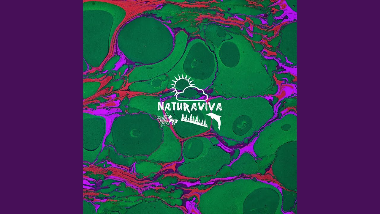 Guarda Bifrost su YouTube Guarda Bifrost su YouTube