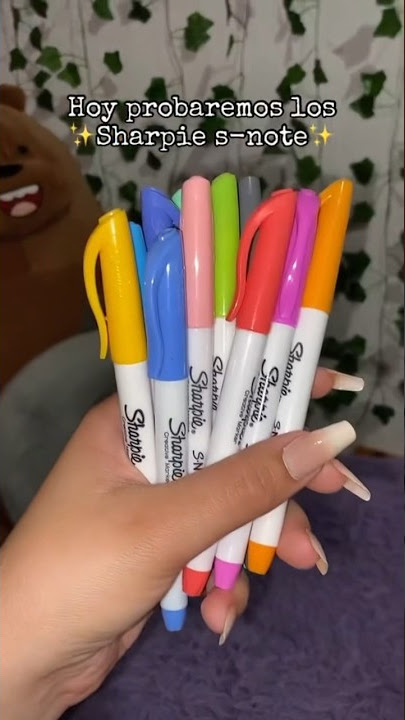 Sharpie S-Note Creative Markers Review - Rae's Daily Page