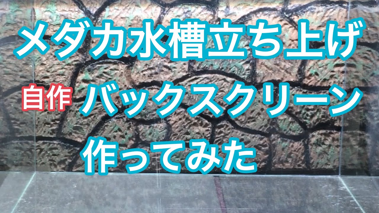 メダカ水槽立ち上げ 自作バックスクリーン １ Youtube