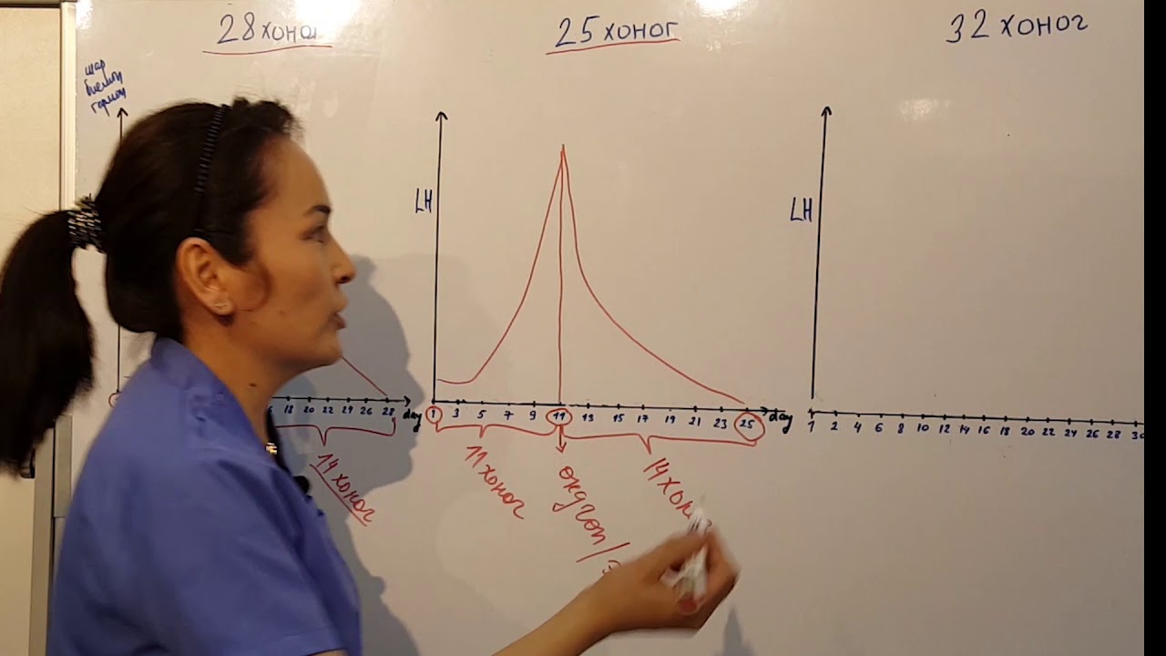 Жирэмслэх магадлалтай өдрөө зөв тодорхойлох тухай