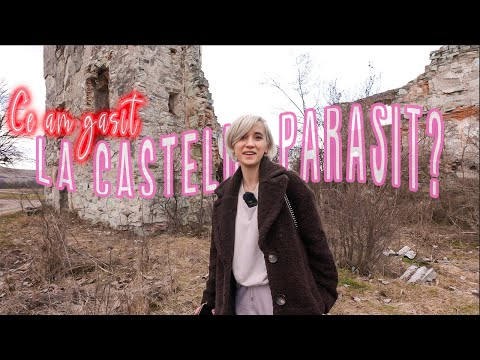 VLOG: Ce au facut comunistii acestui castel...