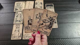 Download Lagu STIER ♉️ ZE SCHEREN ZICH 😳 MP3