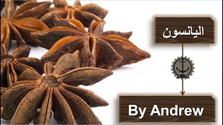 اليانسون النجمي  وفوائده/اضرار اليانسون/Anise/الآثار الجانبية لتناول اليانسون/التفاعلات مع الأدوية