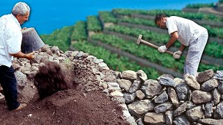 Los PAREDONES. MUROS DE PIEDRA para nivelar terrenos inclinados en una ISLA y poder CULTIVAR