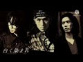 「未発表曲」白く染まれ    WANDS