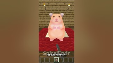 Minecraft hamster #minecraft #hamster #shorts