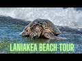 4K Beach Tour - Laniakea Beach - Oahu, Hawaii - We Saw Sea Turtles!