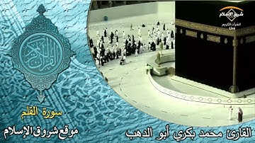 سورة القلم ( القارئ محمد بكري أبو الدهب )
