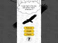 Sharp vision and clever minds: Can you solve the riddle of the soaring bird? #riddles #shorts