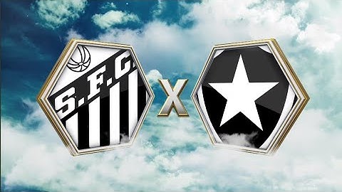 Santos 1 x 1 Botafogo Brasileirão 1995 FINAL Jogo Completo Reprise Globo 2020 HD1080p