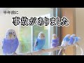 約半年前に事故がありました