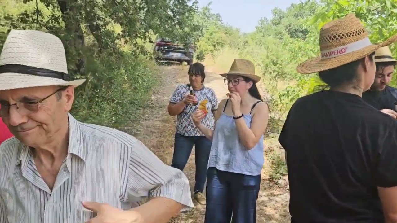 Mietitura del Grano San Vincenzo La Costa (CS) 2024