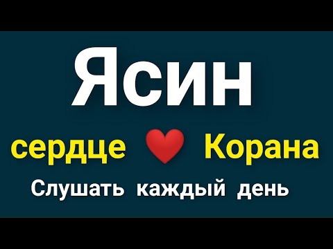 сура Ясин слушать каждый день