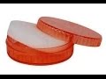 Les souvenirs d'enfance Algérie
