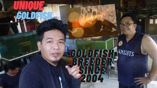 Celestial Bubble eye Goldfish Breeder a very Unique Goldfish Farm Since 2004 - Bong Sarphil Fishyard