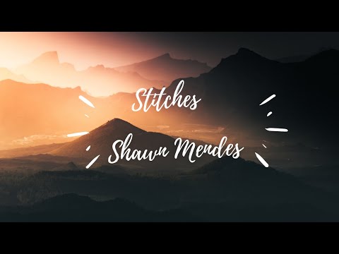 Shawn Mendes   Stitches Lyrics
