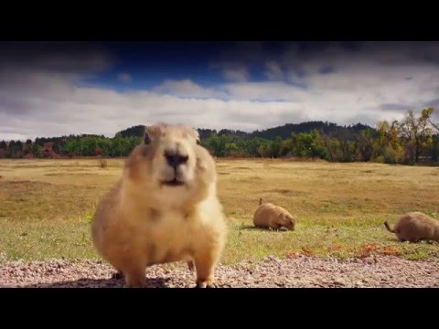 Video: Binnenkort In Onze Nationale Parken: Bedrijfslogo's - Matador Network