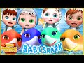 𝑵𝑬𝑾 Baby Shark (Hide and Seek Version) +More | Bmbm Preschool Baby Songs &amp; Nursery Rhymes [HD]
