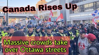 Huge crowds in Ottawa; pro-Trudeau counterprotester makes a fool of herself