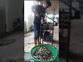 Sakil ,Works at the company 🥰#viralvideo